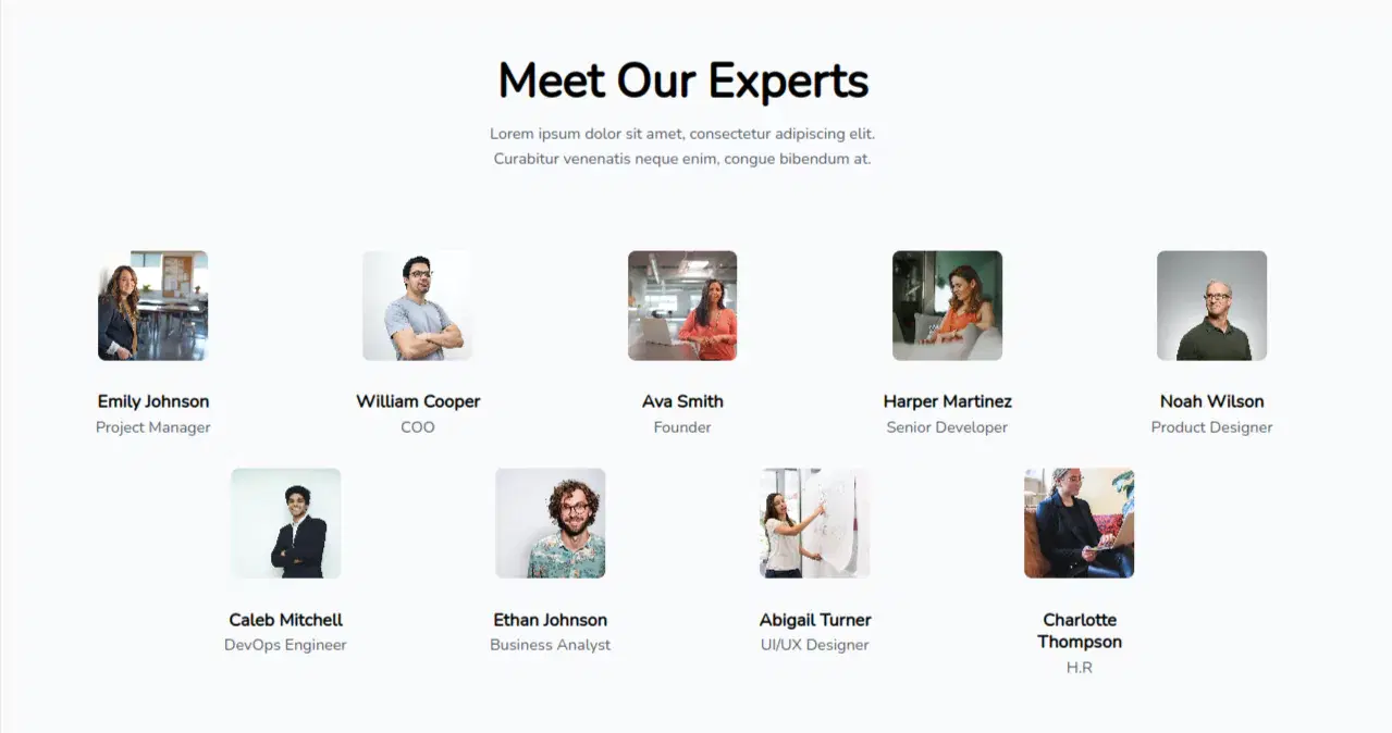 Expert Team Section Team Component - Tailwindtap
